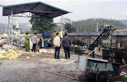 Chôn lấp 30 tấn chất thải trái phép tại Quảng Nam