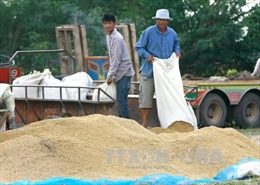 Thái Lan bán 100.000 tấn gạo cho Philippines