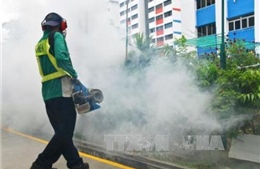 Singapore xác nhận 17 ca nhiễm mới virus Zika