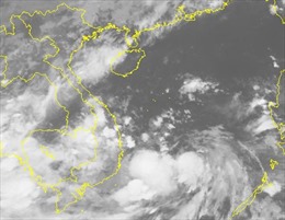Áp thấp nhiệt đới có khả năng mạnh lên thành bão