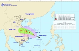 Áp thấp nhiệt đới mạnh lên thành bão trong 12 giờ tới