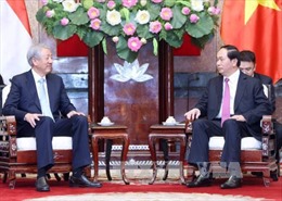 Chủ tịch nước tiếp Phó Thủ tướng Singapore Tiêu Chí Hiền 