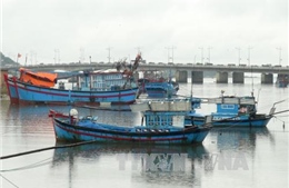 Chủ động ứng phó với áp thấp nhiệt đới gần bờ 