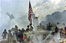 Mỹ tặng Pháp hạt giống cây sống sót trong vụ 11/9