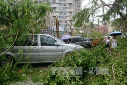 Bão Meranti gây thiệt hại lớn ở Đài Loan 