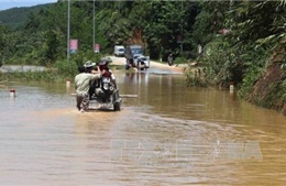 Đã có 8 người chết, mất tích do mưa lũ ở Nghệ An