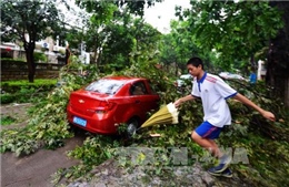 Trung Quốc chuẩn bị ứng phó với bão Malakas 