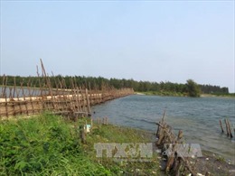 Cho phép Quảng Ngãi xây đê kè ngăn mặn sông Trà Bồng