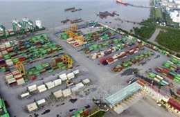 Làm rõ việc giữ lô hàng đông lạnh của Maersk Việt Nam