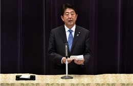 Nhật Bản không muốn chậm chân ở Hòn đảo Tự do