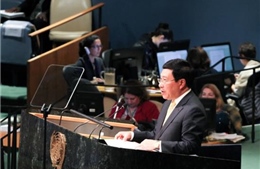 Phó Thủ tướng Phạm Bình Minh kêu gọi tuân thủ luật pháp quốc tế