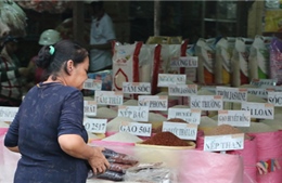 Nông sản Việt trước sức ép cạnh tranh từ ASEAN