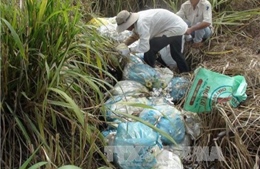 Làm rõ vụ chôn lén hàng tấn rác thải y tế tại Bệnh viện Đà Bắc