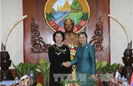 Chủ tịch QH Nguyễn Thị Kim Ngân hội đàm với Chủ tịch QH Lào 