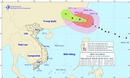 Các tỉnh ven biển chủ động ứng phó với bão Megi