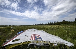 Vụ rơi máy bay MH17: 100 đối tượng đang bị điều tra