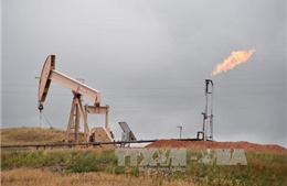OPEC nhất trí giảm sản lượng dầu mỏ