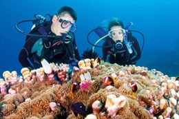 Bảo vệ rạn san hô gắn với phát triển du lịch