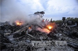 Malaysia đề xuất đưa vụ MH17 ra Tòa án Hình sự Quốc tế 
