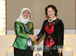 Chủ tịch Quốc hội Nguyễn Thị Kim Ngân tiếp Chủ tịch Quốc hội Singapore