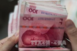 Đồng NDT vào giỏ tiền tệ quốc tế chưa tác động ngay đến DN Việt