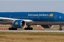 Hai máy bay Vietnam Airlines bị chim va vào động cơ