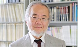 Nobel Y học 2016 thuộc về nhà khoa học Nhật Bản 