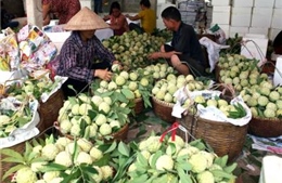Thương hiệu thực phẩm Việt vẫn mờ nhạt trên thế giới