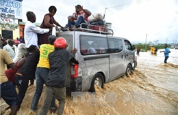 Ít nhất 820 người Haiti thiệt mạng do bão Matthew
