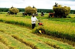 Agribank chung tay giải quyết “bài toán hóc búa” Bảo hiểm nông nghiệp 