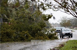 Mỹ ban bố Tình trạng khẩn cấp ở Nam Carolina sau bão "mặt quỷ" 