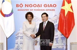 Phó Thủ tướng Phạm Bình Minh hội đàm với Tổng Thư ký Tổ chức Quốc tế Pháp ngữ 