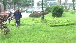 Hà Nội giảm 40% đơn giá cắt cỏ vườn hoa, dải phân cách