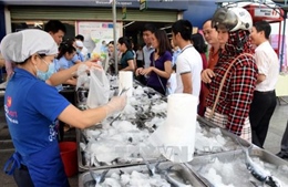 Thừa Thiên - Huế tạm ứng 400 tỷ bồi thường sự cố cá chết