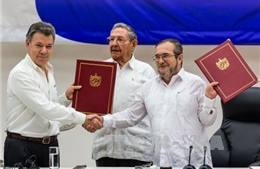 Colombia kéo dài lệnh ngừng bắn với FARC đến hết năm 