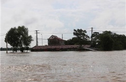 Gần 1.000 hộ dân Quảng Trị ngập sâu trong mưa lũ
