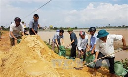 Vỡ đê ngăn mặn ở Quảng Bình do mưa lũ
