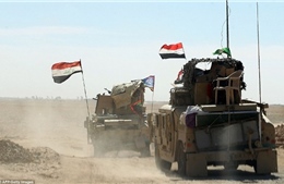 Xe quân sự rầm rập tiến về đập tan thành trì cuối cùng của IS ở Iraq