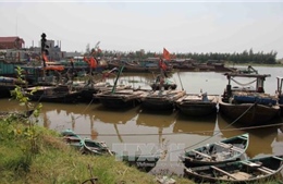 Nam Định nghiêm cấm tàu thuyền ra khơi 
