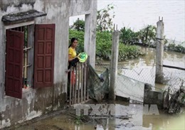 Nước sông Lam dâng cao, 11.000 người dân bị cô lập