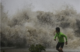 Bão Sarika với gió giật cấp 14 gây nhiều thiệt hại ở Trung Quốc
