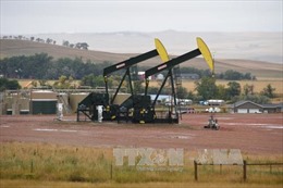 Giá dầu thế giới giảm mạnh 