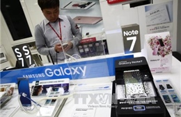 Hàng trăm người dùng Galaxy Note 7 tại Hàn Quốc kiện Samsung