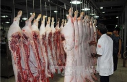 Người tiêu dùng có thể truy xuất nguồn gốc thịt lợn