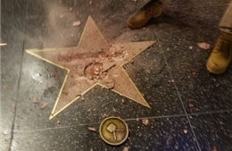 Ngôi sao của ông Trump trên Đại lộ Danh vọng bị đập nát vụn