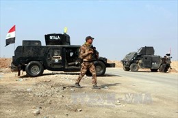  Chiến dịch đánh bật IS tại Mosul bất ngờ tạm dừng