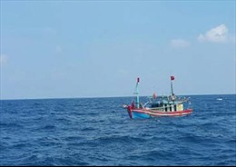 Kêu gọi cứu nạn khẩn cấp tàu cá BĐ96973-TS trôi dạt trên biển