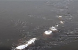 Bất ngờ với clip nghi quái vật hồ Loch Ness “di cư” đến Alaska