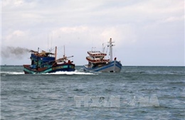 Cứu nạn kịp thời 6 ngư dân trên tàu đánh cá bị chìm