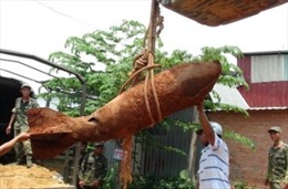 Phát hiện quả bom gần 300 kg tại Đắk Nông